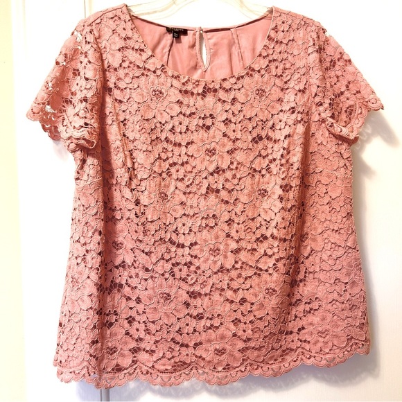 Talbots Top Dusty Rose Lace Blouse Short Sleeve Lined Scallop Hem Plus size 18W - Picture 12 of 15